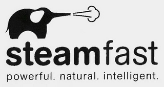 STEAMFAST POWERFUL. NATURAL. INTELLIGENT.