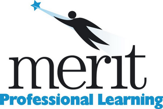 MERIT PROFESSIONAL LEARNING