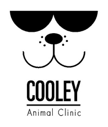 COOLEY ANIMAL CLINIC