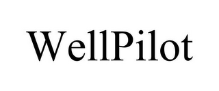WELLPILOT