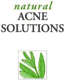 NATURAL ACNE SOLUTIONS