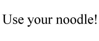 USE YOUR NOODLE!