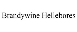 BRANDYWINE HELLEBORES