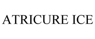 ATRICURE ICE