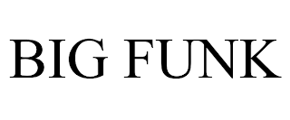 BIG FUNK
