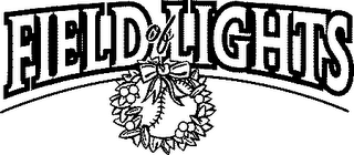 FIELD OF LIGHTS