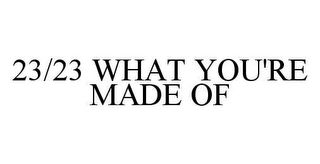 23/23 WHAT YOU'RE MADE OF