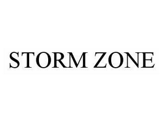 STORM ZONE