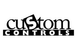 CUSTOM CONTROLS
