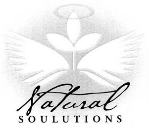 NATURAL SOULUTIONS