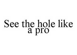 SEE THE HOLE LIKE A PRO