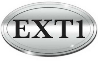 EXT1