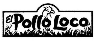 EL POLLO LOCO