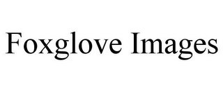 FOXGLOVE IMAGES