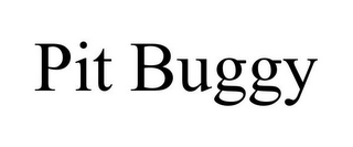 PIT BUGGY