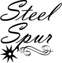 STEEL SPUR