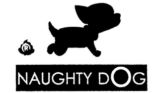 NAUGHTY DOG