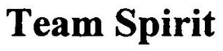TEAM SPIRIT
