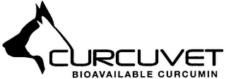 CURCUVET BIOAVAILABLE CURCUMIN