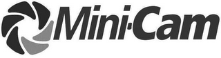 MINI-CAM