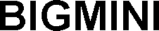BIGMINI