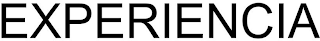 EXPERIENCIA
