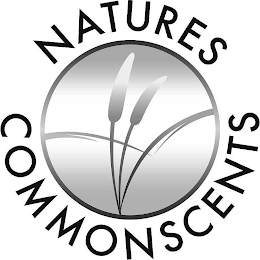 NATURES COMMONSCENTS