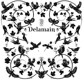 DELAMAIN