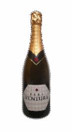 DES DE 1991 PERE VENTURA