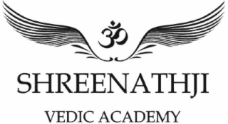 SHREENATHJI VEDIC ACADEMY