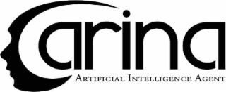 ARINA ARTIFICIAL INTELLIGENCE AGENT