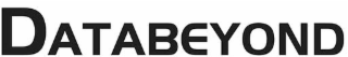 DATABEYOND