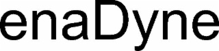 ENADYNE