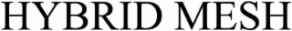 HYBRID MESH