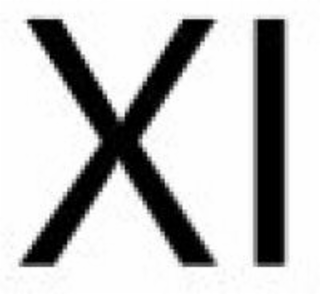 XI