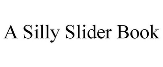 A SILLY SLIDER BOOK