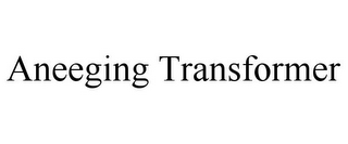 ANEEGING TRANSFORMER