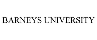 BARNEYS UNIVERSITY