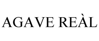 AGAVE REÀL
