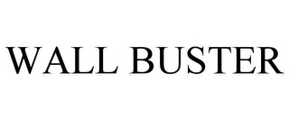 WALL BUSTER