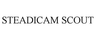 STEADICAM SCOUT