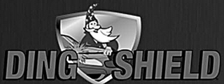 DING SHIELD