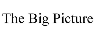 THE BIG PICTURE