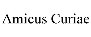 AMICUS CURIAE