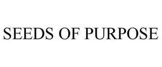 SEEDS OF PURPOSE