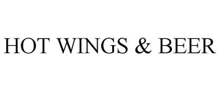HOT WINGS & BEER