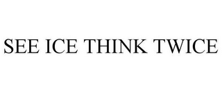 SEE ICE THINK TWICE