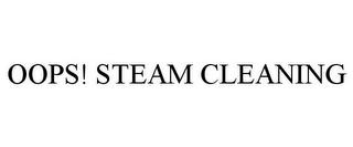 OOPS! STEAM CLEANING