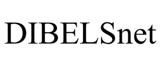 DIBELSNET