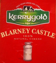 MILK FROM GRASS-FED COWS KERRYGOLD BLARNEY CASTLE 100% NATURAL CHEESE